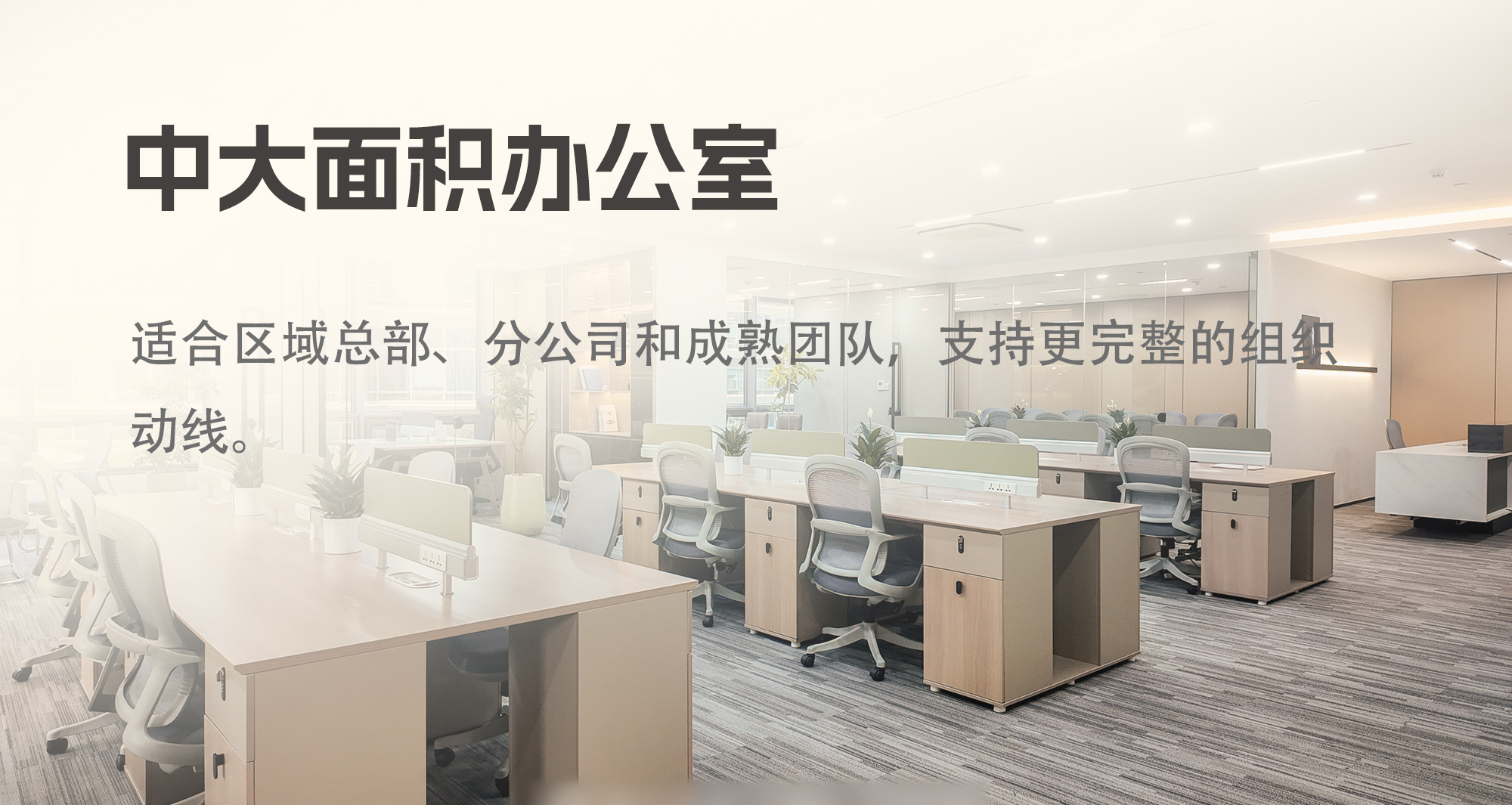 中大面积办公